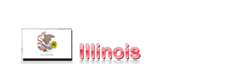 USA Ratgeber - Illinois