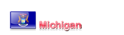 USA Ratgeber - Michigan
